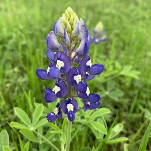 Meet your Posher, Mariel